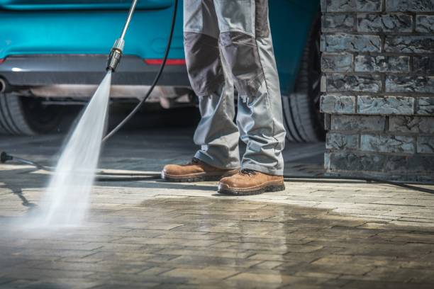 Best House Exterior Washing  in Davison, MI