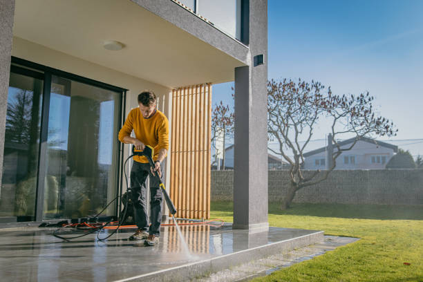 Best Fence Cleaning  in Davison, MI