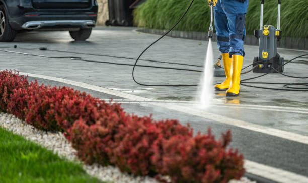 Best Pool Deck Cleaning  in Davison, MI